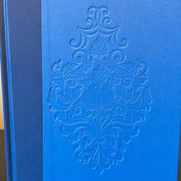 Debating Darcy by Sayantani DasGupta ~ YA Fiction ~ YA Novel ~ YA Literature - Picture 9 of 11